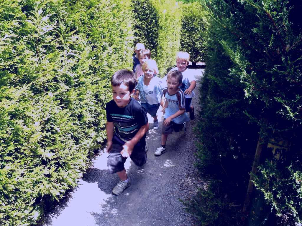 SubjectCoach | Hedgend Maze