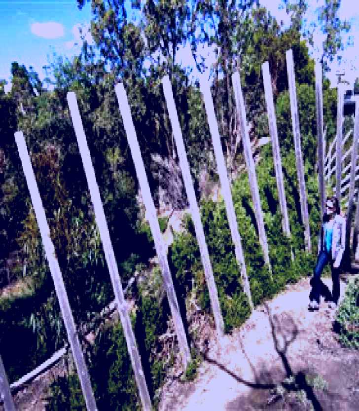 SubjectCoach | Herring Island Environmental Sculpture Park