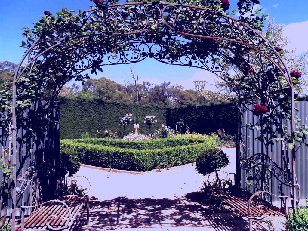 SubjectCoach | High Country Maze