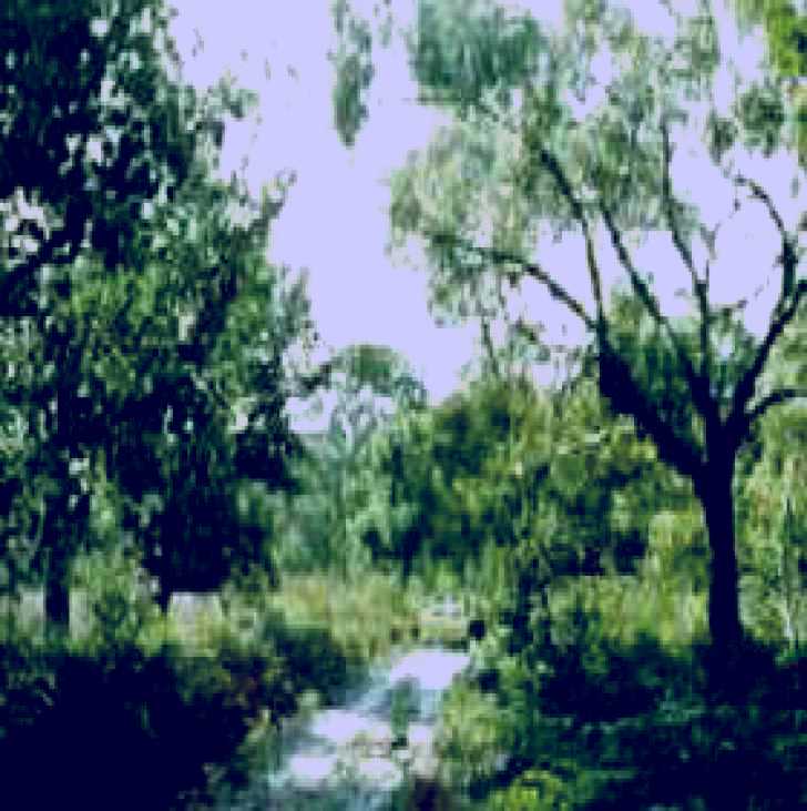 SubjectCoach | Holey Plains State Park