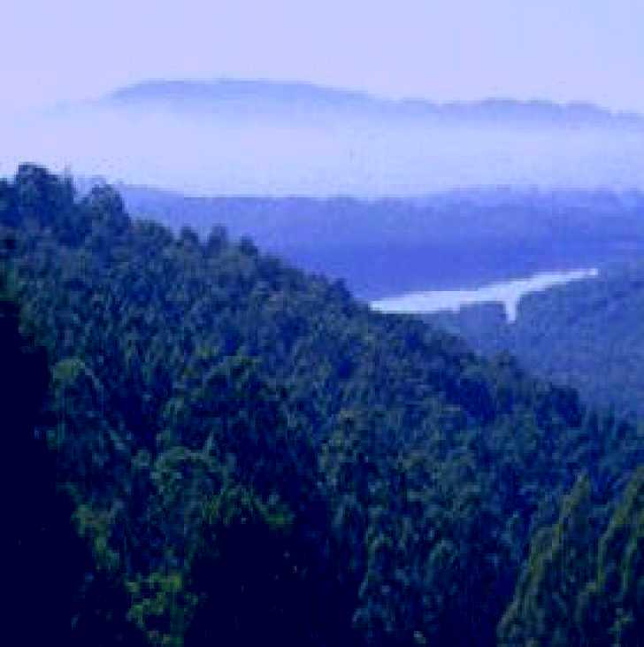 SubjectCoach | Kalorama Park