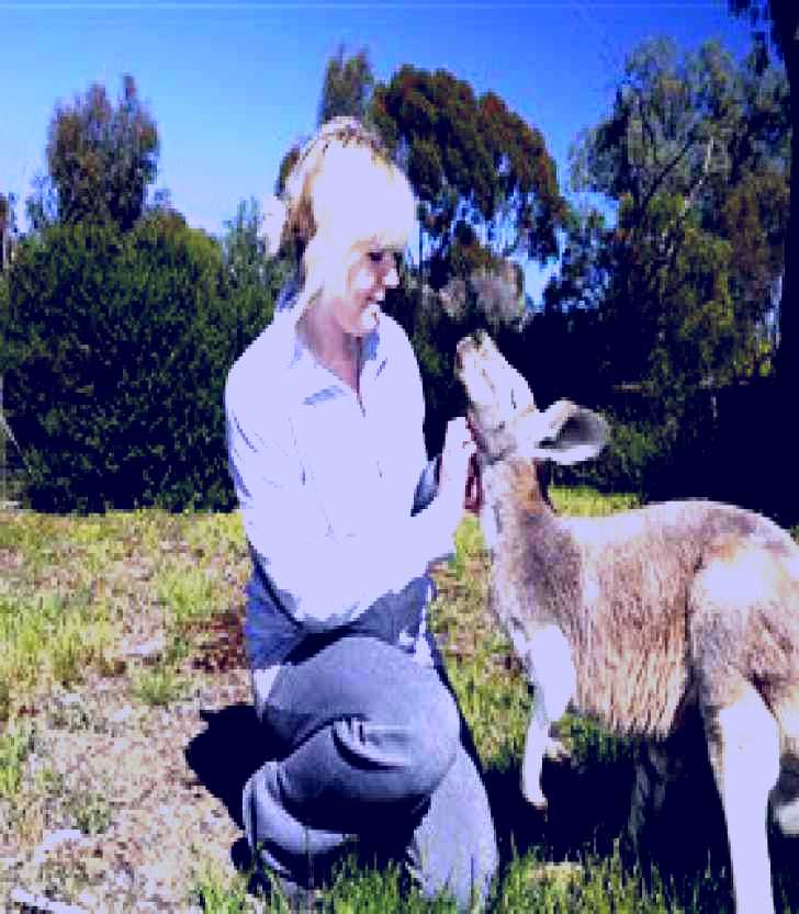 SubjectCoach | Kyabram Fauna Park