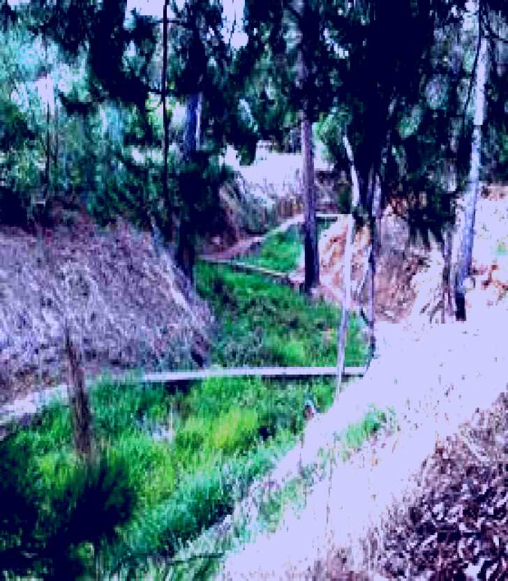 SubjectCoach | Lions Club Bicentennial Walk