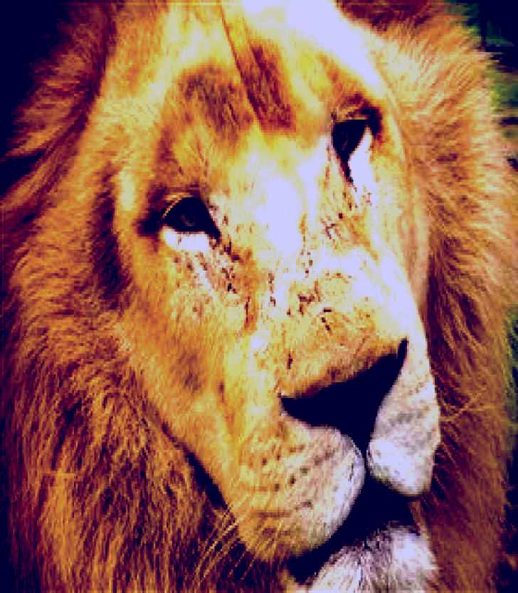 SubjectCoach | Mansfield Zoo