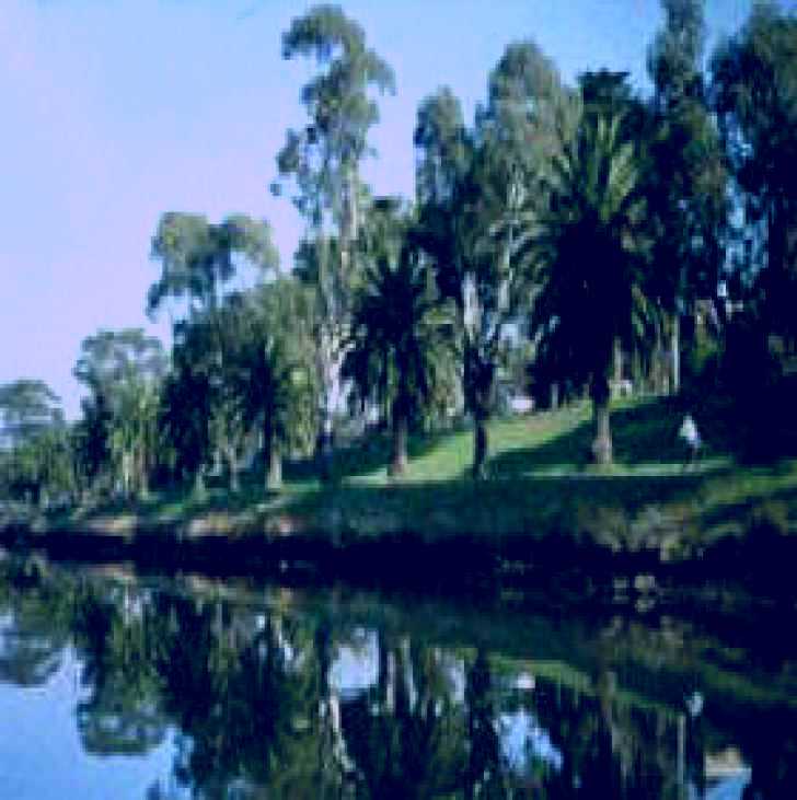 SubjectCoach | Maribyrnong River