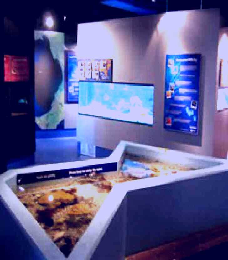 SubjectCoach | Marine and Freshwater Discovery Centre