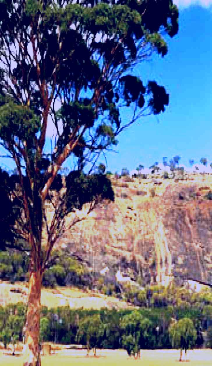 SubjectCoach | Mount Stirling