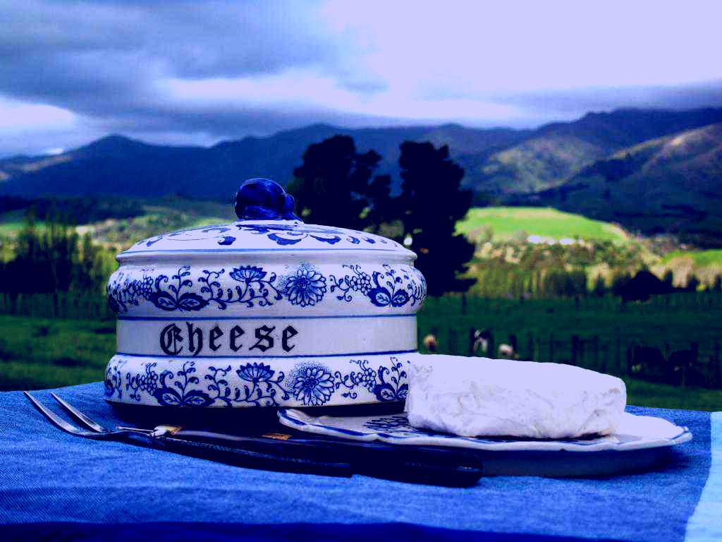 SubjectCoach | Cartwheel Creamery