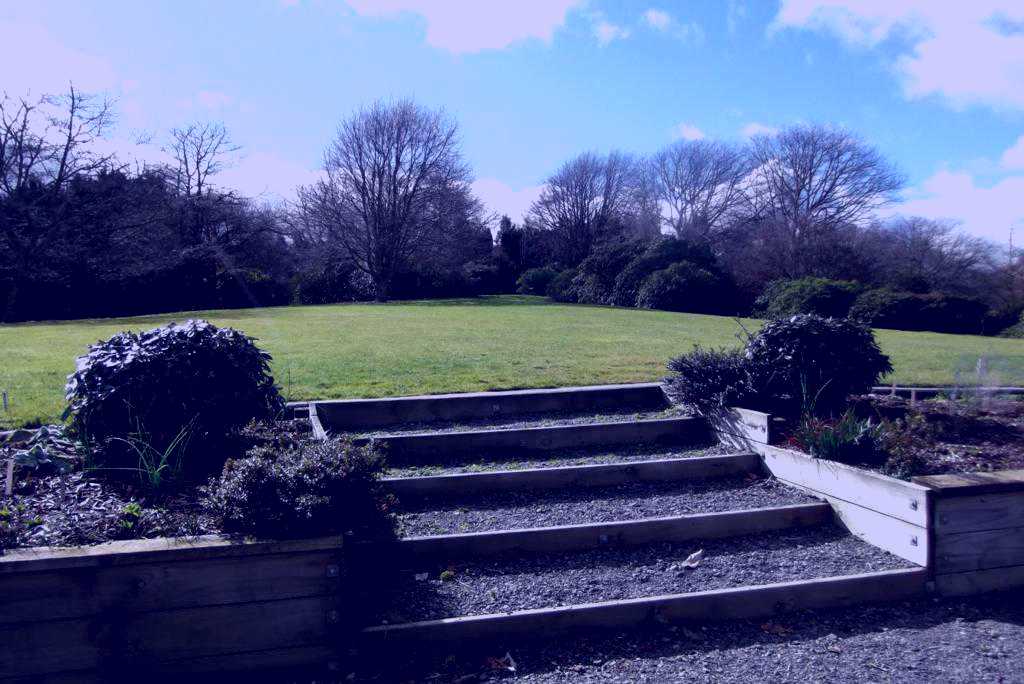 SubjectCoach | Heritage Park Rhododendron Park