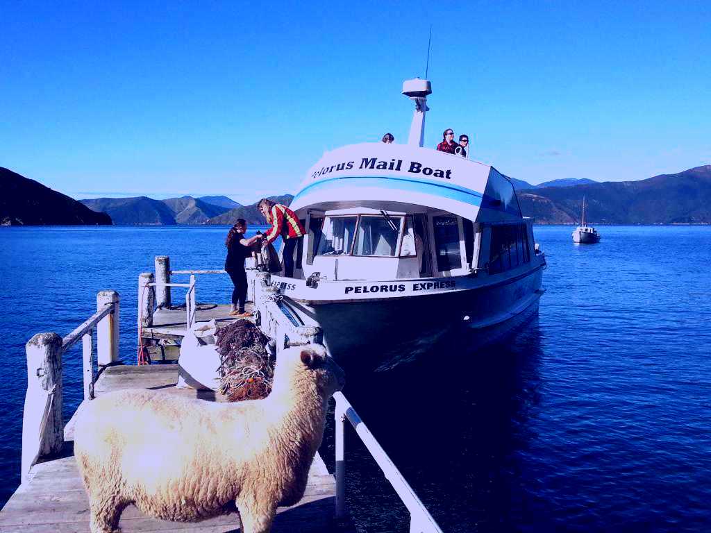 SubjectCoach | Pelorus Mail Boat