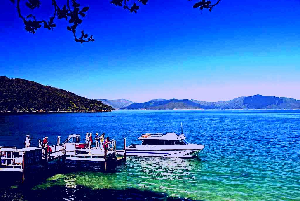 SubjectCoach | Cougar Line Cruises