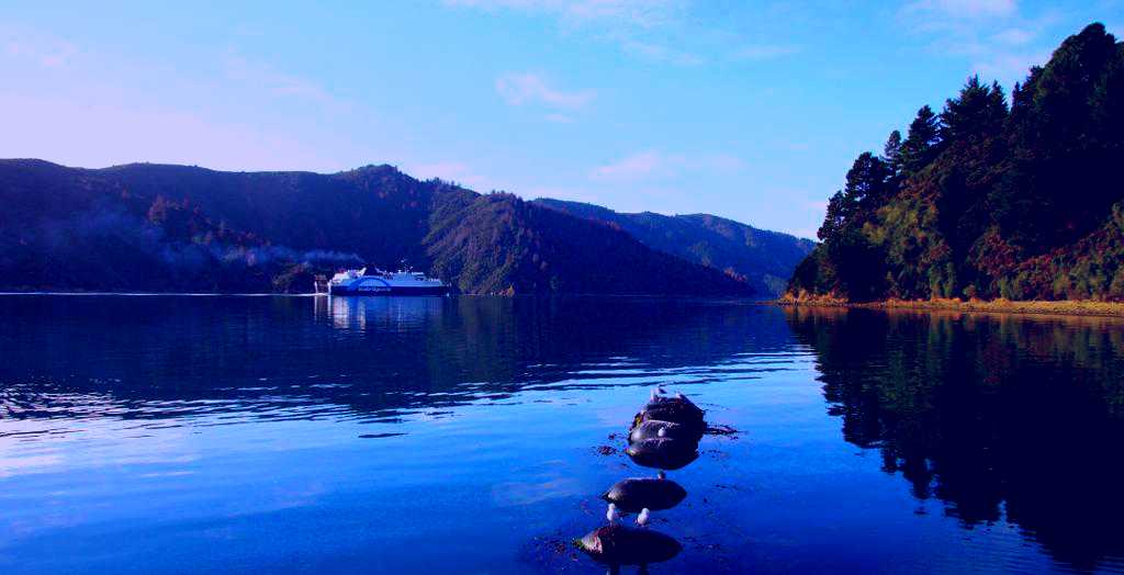 SubjectCoach | Seafood Odyssea Cruise