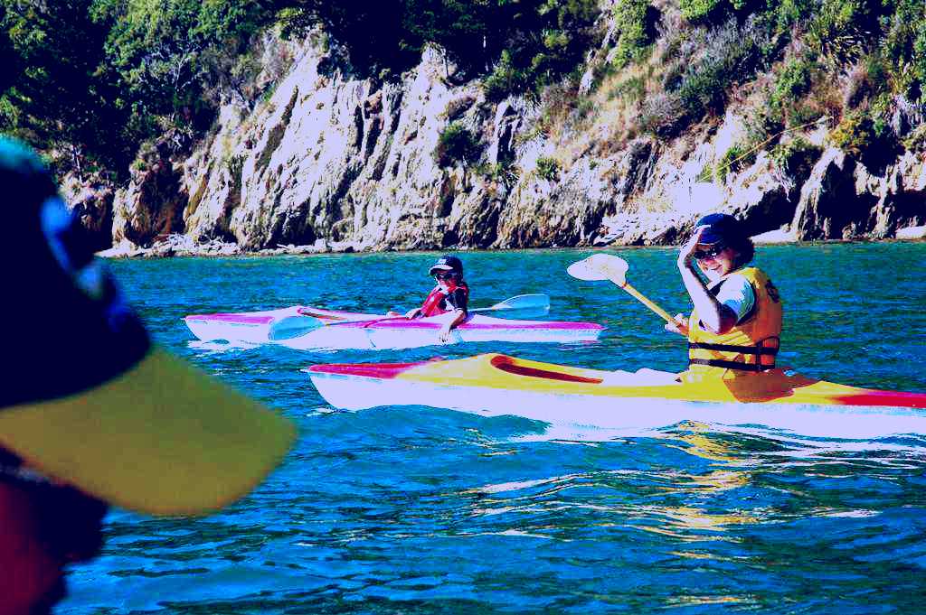 SubjectCoach | Whatamonga Home Stay Ltd