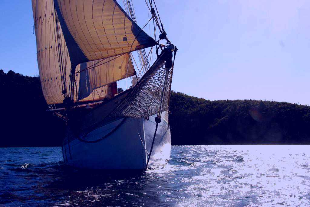 SubjectCoach | Steadfast Traditional Sail