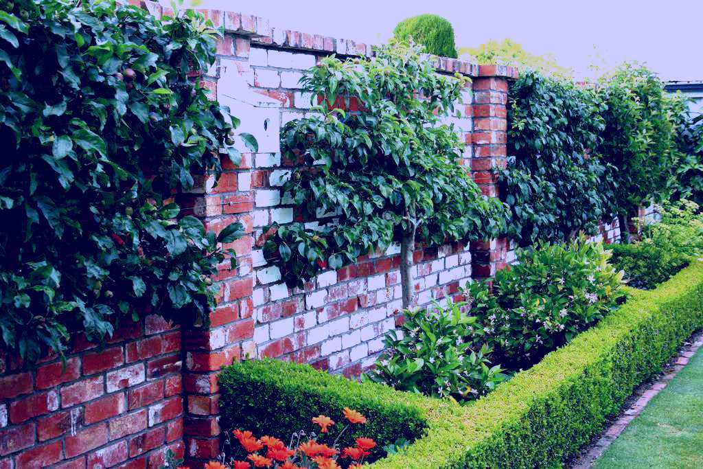 SubjectCoach | Upton Oaks Garden