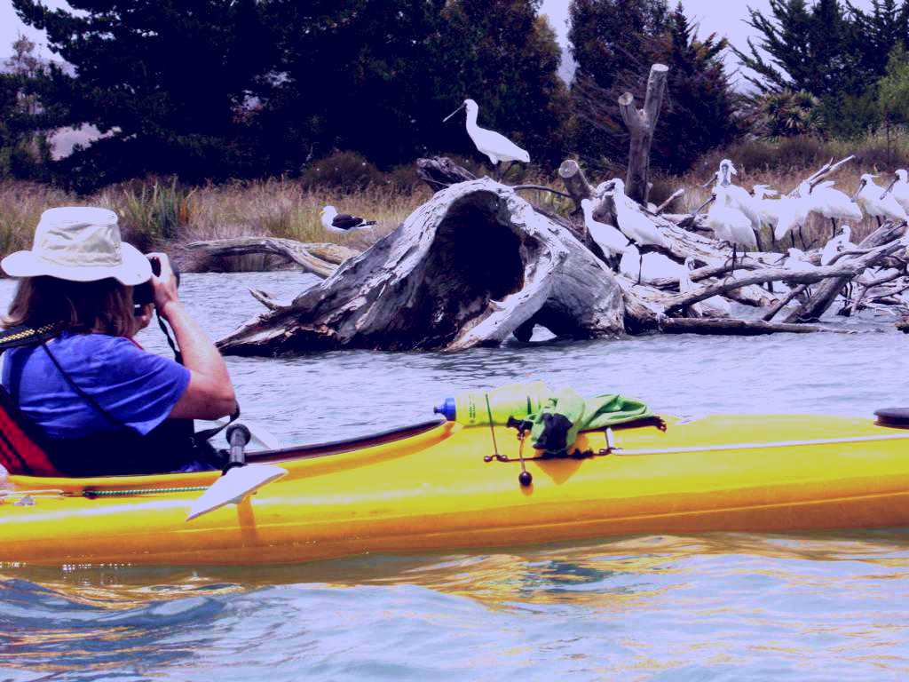 SubjectCoach | Wairau Lagoon by Kayak