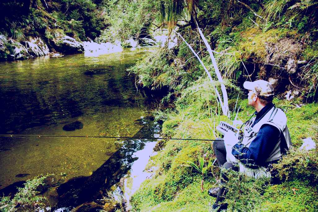 SubjectCoach | Stonefly Fishing Lodge