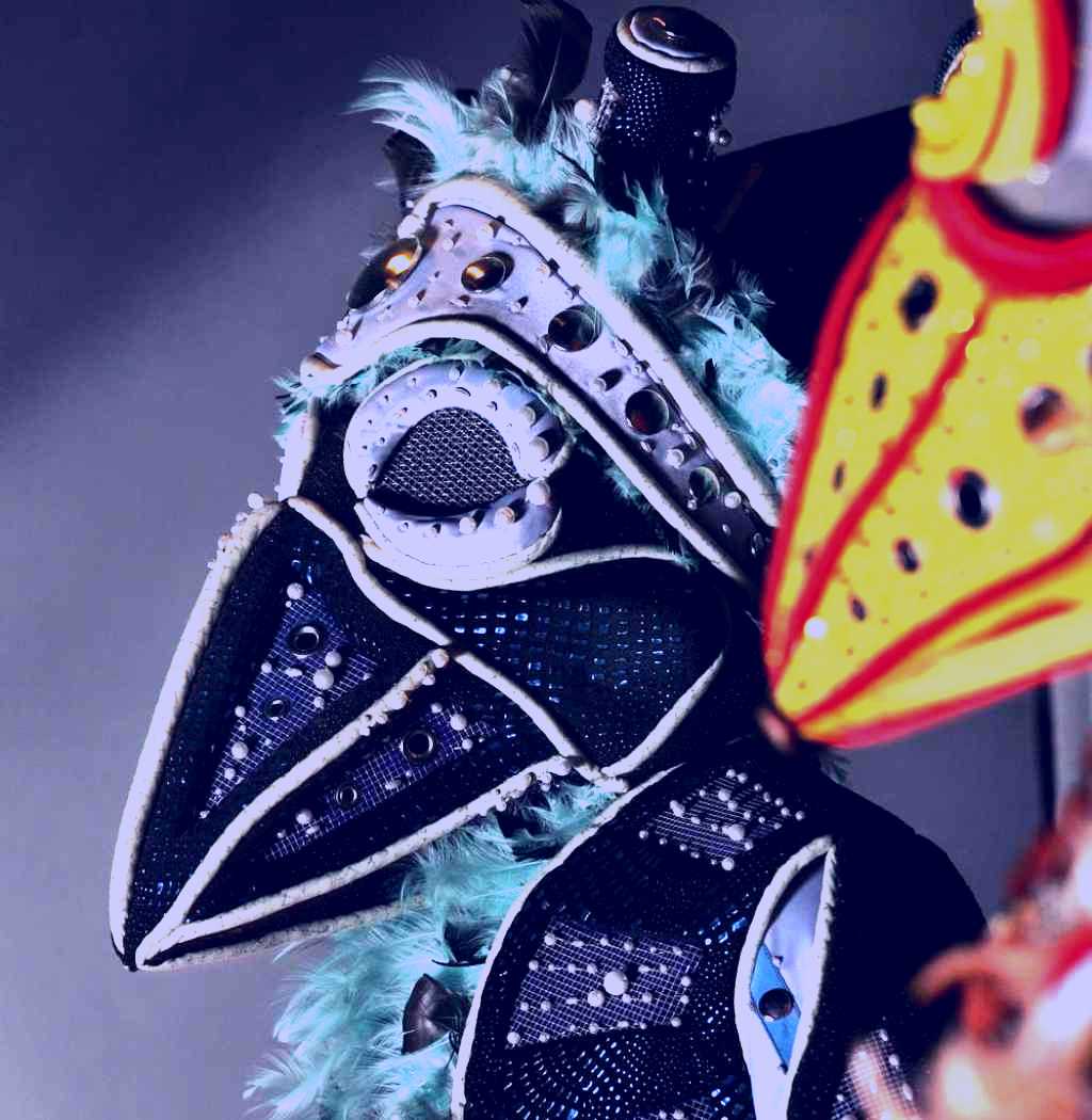 SubjectCoach | World of WearableArt and Classic Cars Museum