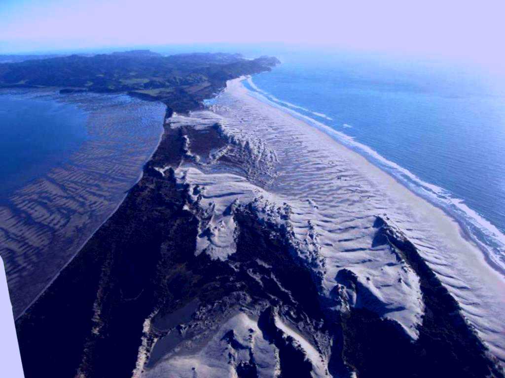 SubjectCoach | Golden Bay Air Scenic Flights