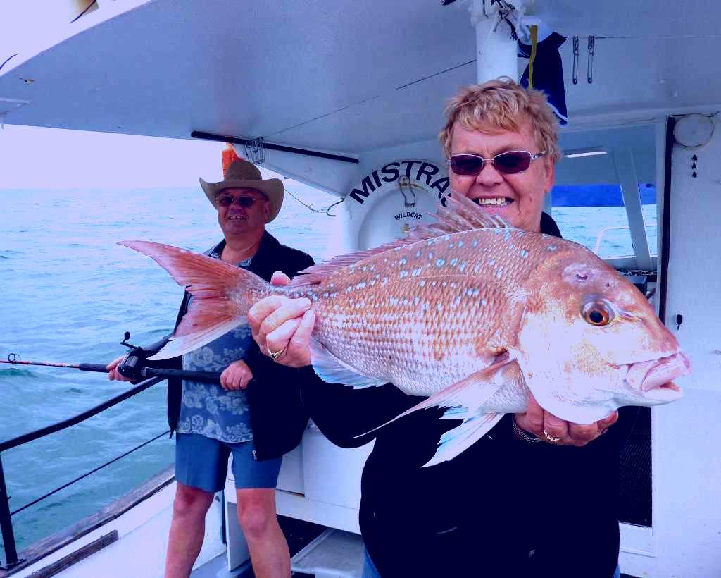 SubjectCoach | Wildcat Charters
