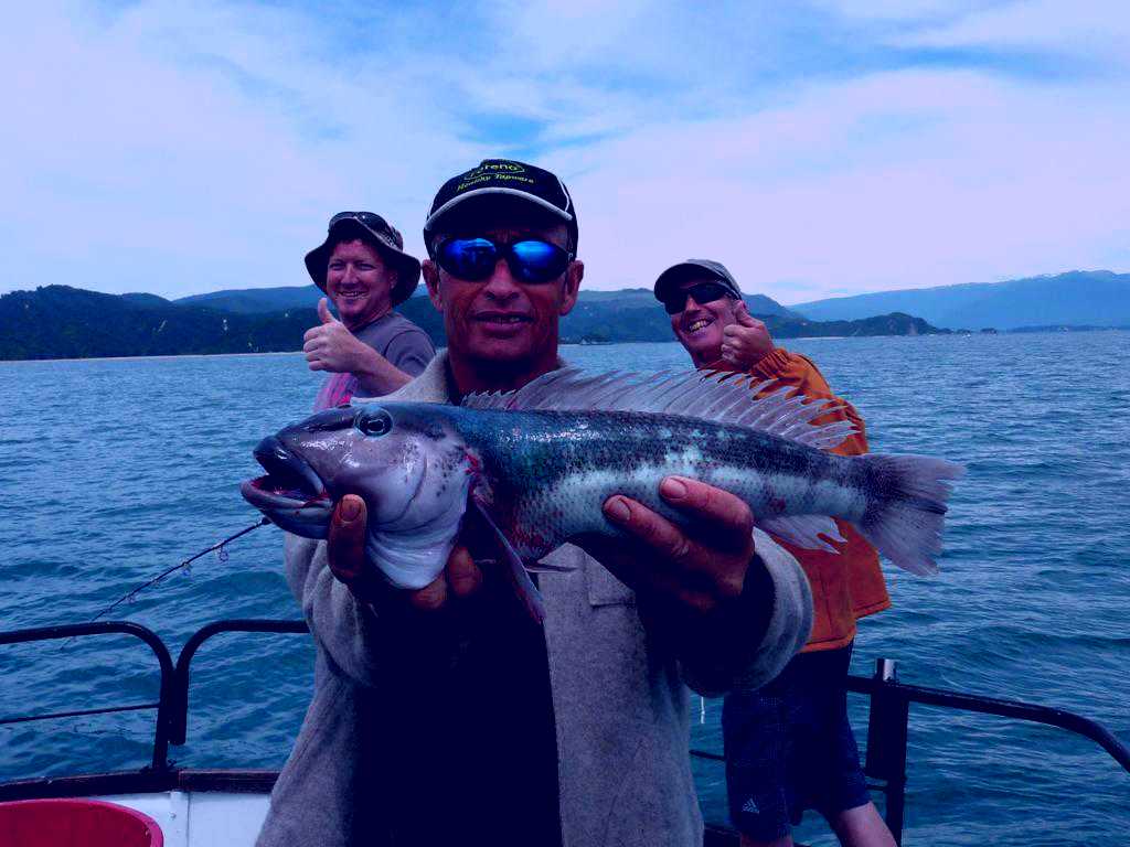 SubjectCoach | Wildcat Charters