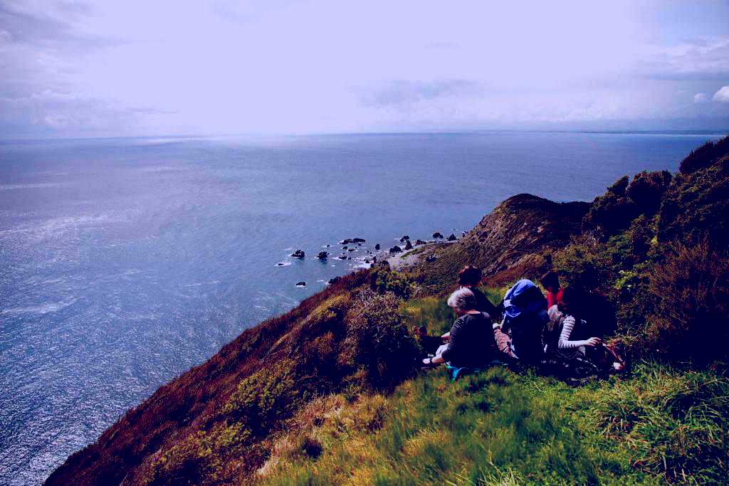 SubjectCoach | Kapiti Island Nature Tours