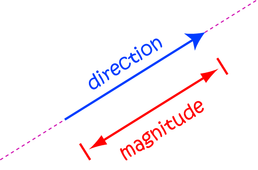 Definition of vector | SubjectCoach