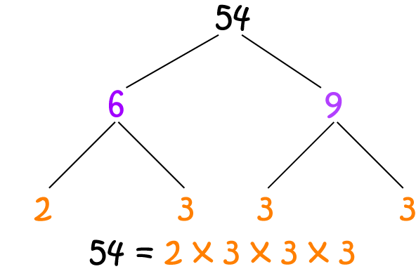 Definition of Factor Tree