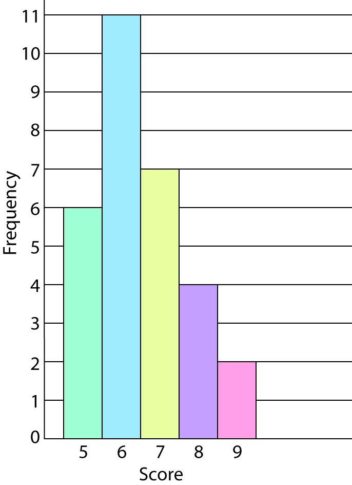 Definition of Frequency Histogram