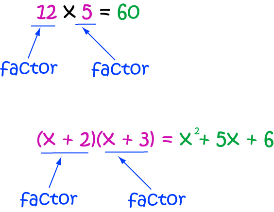 Definition of Factor