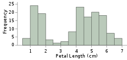 Definition of Histogram