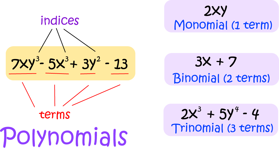 What monomial is 2xy?
