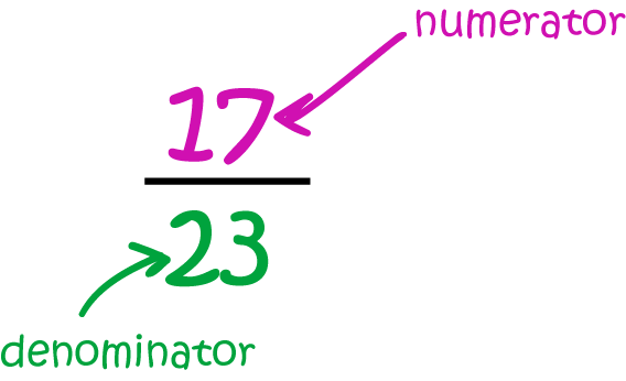 Definition of Numerator