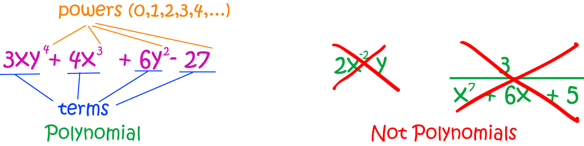 Definition of Polynomial