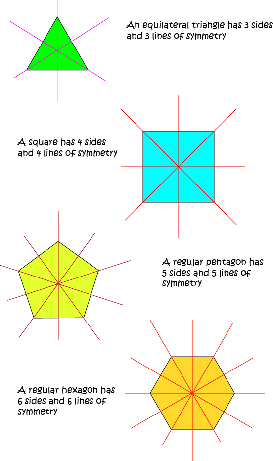 Lines of Symmetry of Plane Shapes