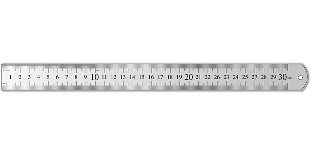 Definition of Ruler