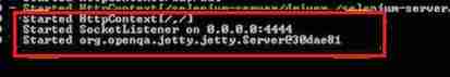 Selenium server started