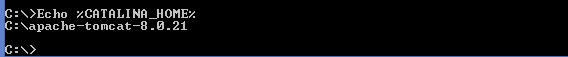 Verify CATALINA_HOME