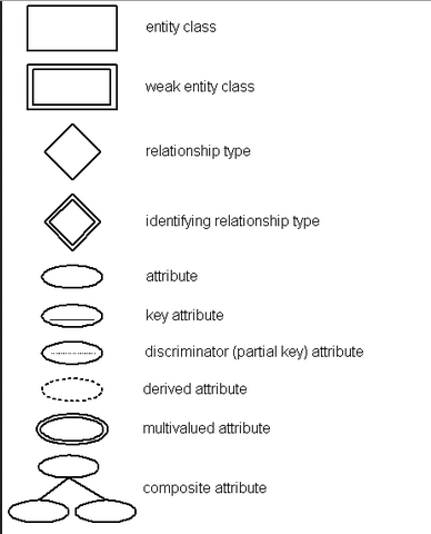 ER diagram basics