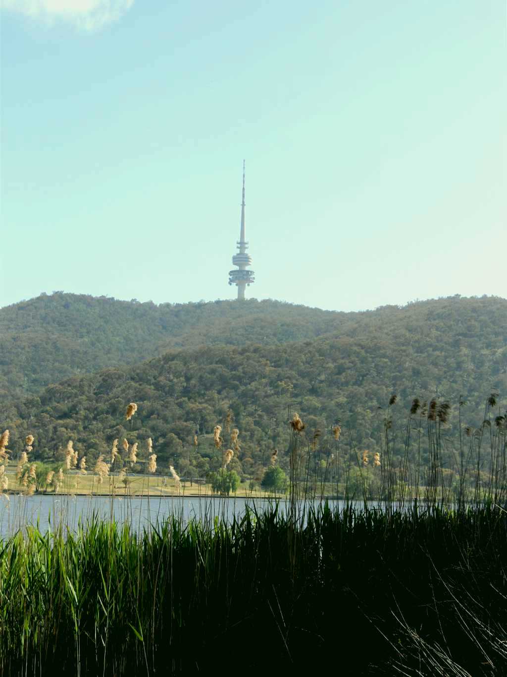 SubjectCoach | Black Mountain Peninsula