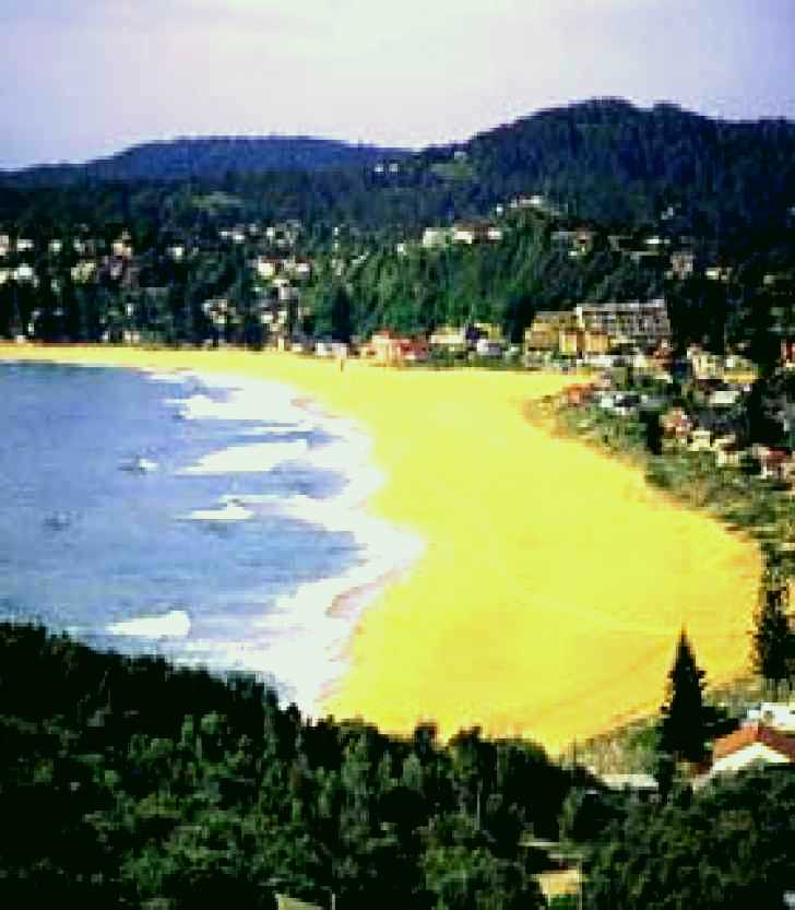 SubjectCoach | Avoca Beach