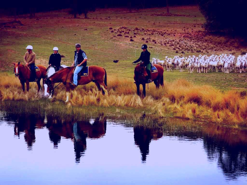 SubjectCoach | Burnelee Excursions on Horseback