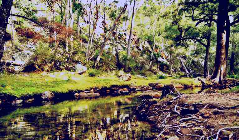 SubjectCoach | Capertee National Park
