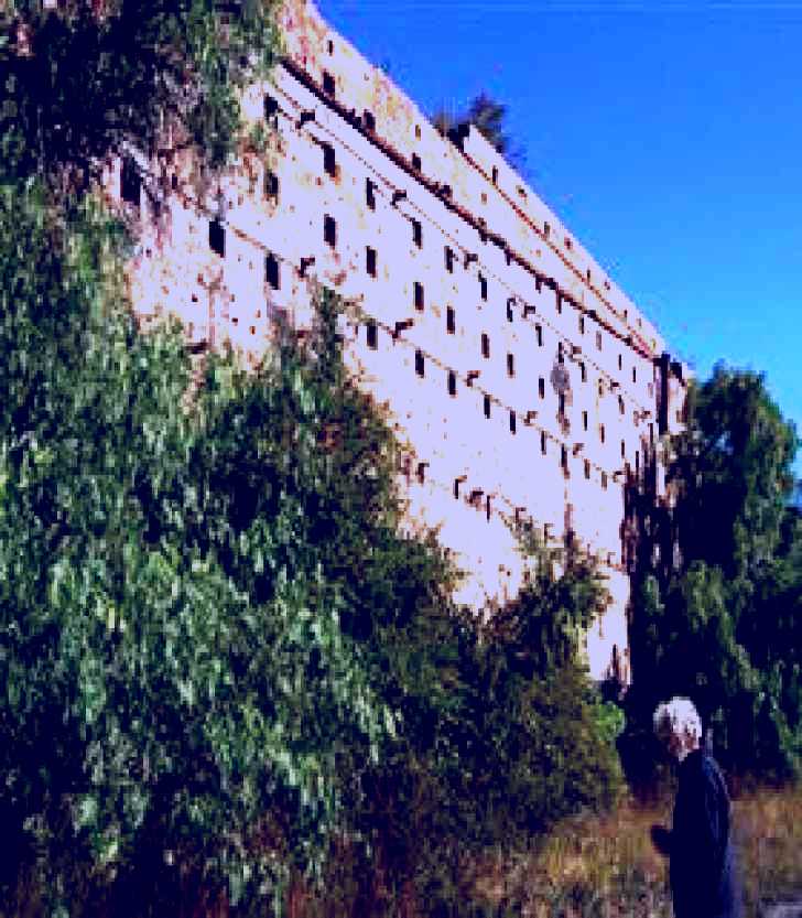 SubjectCoach | Glen Davis Ruins