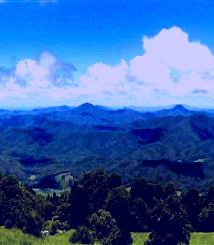 SubjectCoach | Griffith Lookout