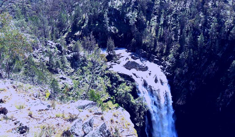 SubjectCoach | Grove Creek Falls walking track