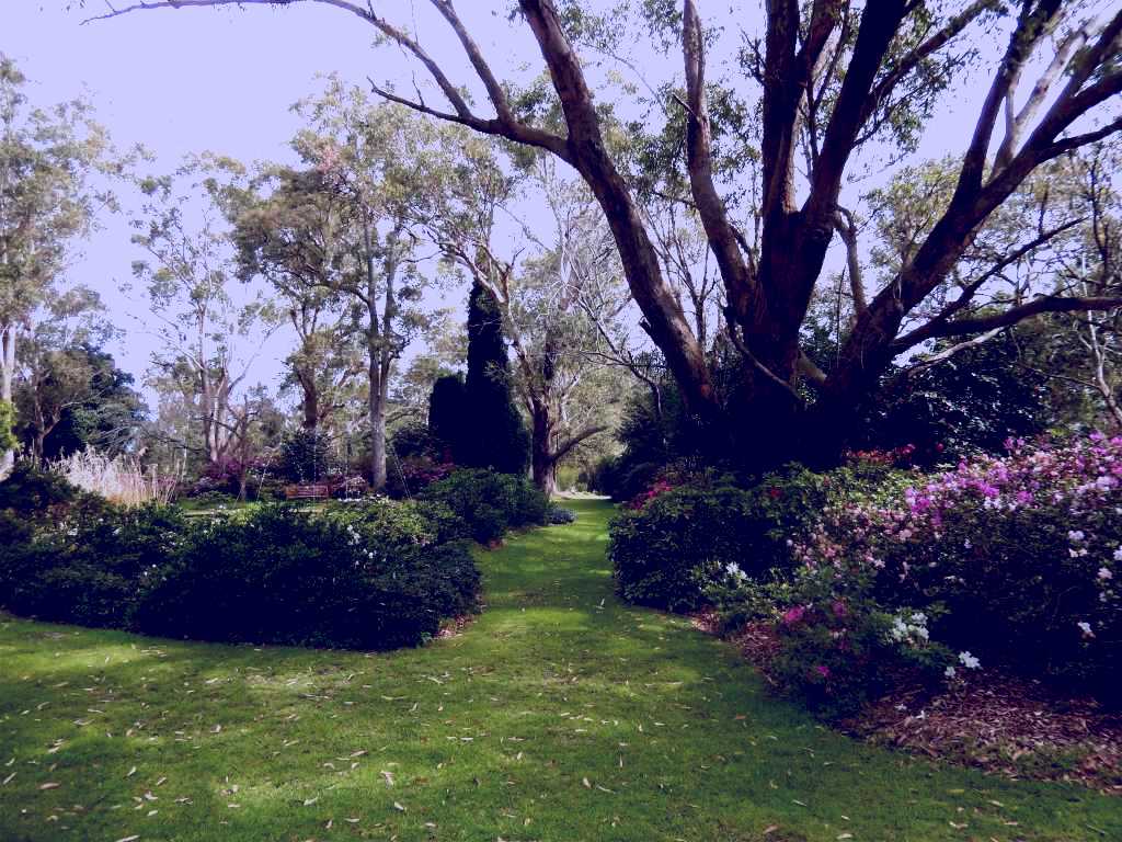 SubjectCoach | Hunter Region Botanic Gardens
