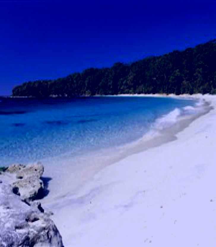 SubjectCoach | Hyams Beach