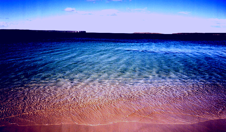 SubjectCoach | Hyams Beach trail