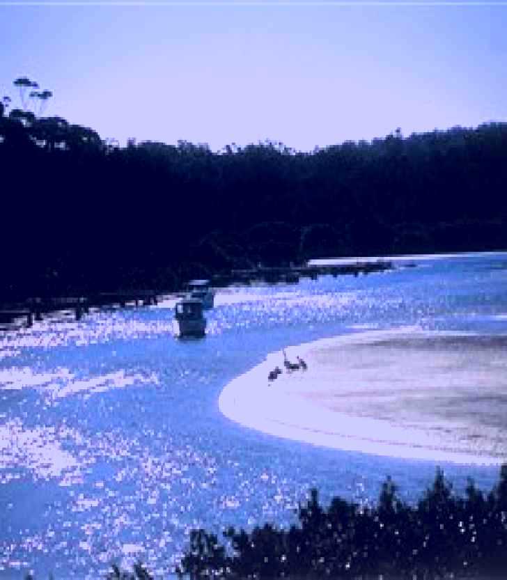SubjectCoach | Jack Buckley Memorial Park and Picnic Area - Tomakin